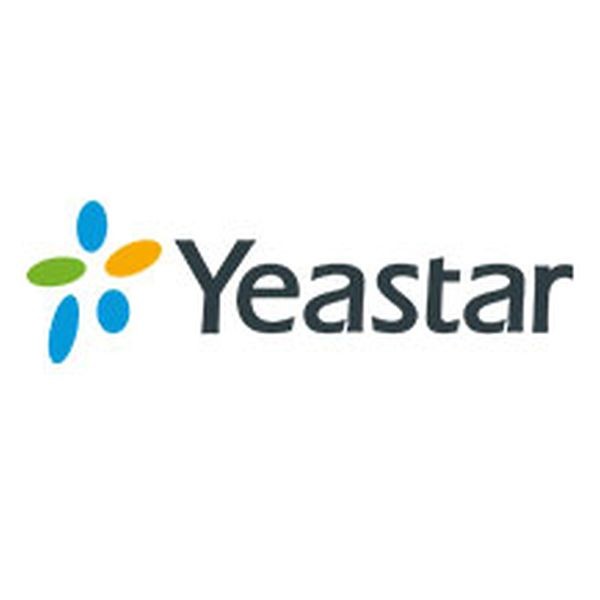Yeastar P-Serie Standard Plan P520 (2 Jahr)