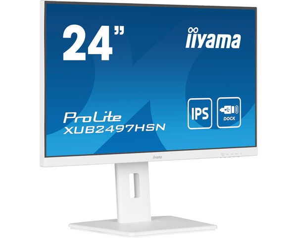 TFT 23,8&quot;/60,5cm iiyama ProLite XUB2497HSN-W2 *weiß* 16:9