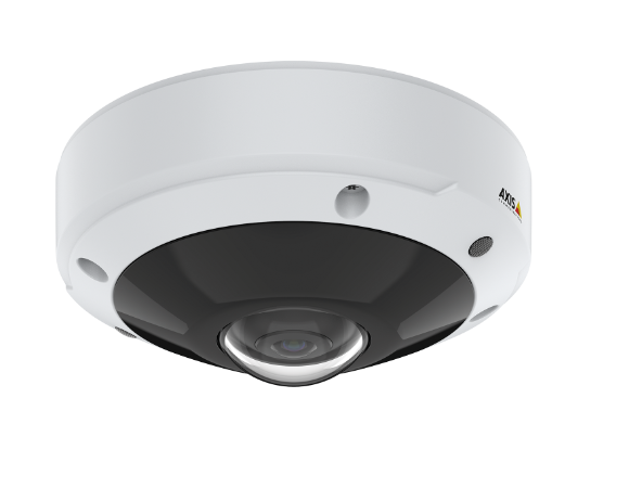 AXIS Netzwerkkamera Fix Dome Fisheye M3077-PLVE 180/360°