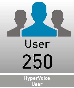 Agfeo HyperVoice Grundlizenz 250 User