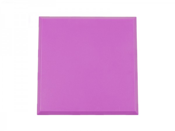 ALLNET BrickRknowledge Kunststoffschale 2x2 violett oben und unten 10er Pack