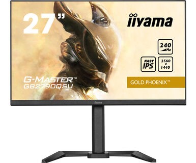 TFT 27,0&quot;/68,5cm iiyama G-Master GB2790QSU-B5 Gold Phoenix *schwarz* 16:9